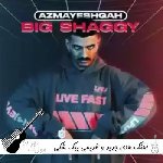 دانلود آهنگ های جدید و قدیمی بیگ شگی Big Shaggy | ریمیکس