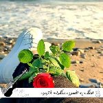 اهنگ یه افسرده سنگدلم خانواده کردن ولم ریمیکس دیجی کینگ عباس