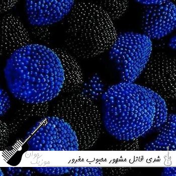 دانلود آهنگ شدی قاتل مشهور محبوب مغرور قلب بیچارم ریمیکس اینستا کامل
