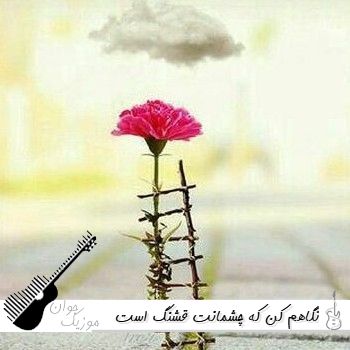 دانلود آهنگ نگاهم کن که چشمانت قشنگ است با صدای زن بلوچی هوش مصنوعی