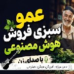 دانلود آهنگ عمو سبزی فروش هوش مصنوعی ریمیکس با صدای زن اینستا