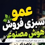 دانلود آهنگ عمو سبزی فروش بله خونه خریدی نخیر ریمیکس هوش مصنوعی صدای زن
