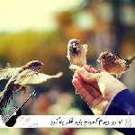 دانلود آهنگ تو رو دیدم گمونم باید فکر یه آهنگ کرد با صدای زن هوش مصنوعی + صدای مرد