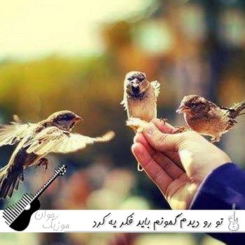 دانلود آهنگ تو رو دیدم گمونم باید فکر یه آهنگ کرد با صدای زن هوش مصنوعی + صدای مرد
