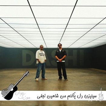 دانلود آهنگ سیتیزن دل پاکتم من شاهین نجفی (ریمیکس اینستا)