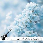 دانلود آهنگ داشی داش میشد لاوسانگ ولی شاهین نجفی {ریمیکس}
