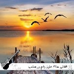 آهنگ  افغانی سلام عزیز دلم در چمنت بلبلم با صدای زن ریمیکس اینستا