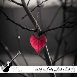 اهنگ طفلکی دلم گیره ریمیکس اینستا بیس دار تریبال شاد