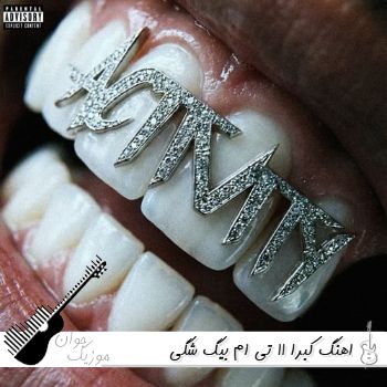 اهنگ کبرا 11 (اینا جلوم دولا راستن بهت میدیم هشدار کبری 11 ریمیکس) بیگ شگی حسین تی ام ریمیکس
