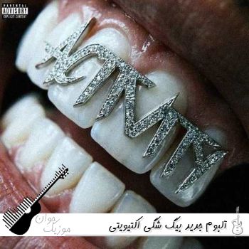 دانلود آلبوم جدید بیگ شگی اکتیویتی Big Shaggy - Activity کامل