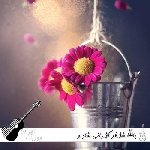 آهنگ یاڵڵا شۆفر گۆرانی شاد و هەڵپەڕکێ هوش مصنوعی با صدای زن ریمیکس اینستا