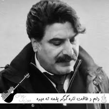 دانلود آهنگ دلم د طاقت ناره گرگر پلمه ته میره ریمیکس اینستا بیس دار (ریمیکس رگبار) دانلود آهنگ دلم د طاقت ناره گرگر پلمه ته میره ریمیکس اینستا بیس دار (ریمیکس رگبار)