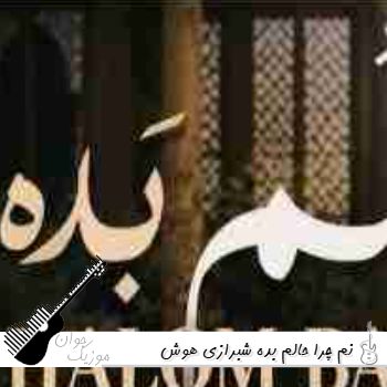 دانلود آهنگ نم چرا حالم بده با صدای زن شیرازی هوش مصنوعی ریمیکس دانلود آهنگ نم چرا حالم بده با صدای زن شیرازی هوش مصنوعی ریمیکس