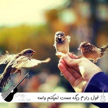آهنگ قول دادم دیگه مست نمیکنم واﺳﻪ ﺗﻜﺴﺘﺖ ﺻﺒﺮ ﻧﻤﻴﻜﻨﻢ ریمیکس اینستا