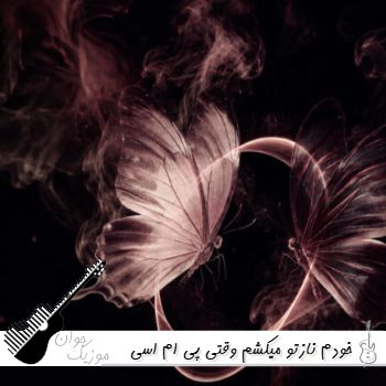 آهنگ خودم نازتو میکشم وقتی پی ام اسی pms ریمیکس اینستا