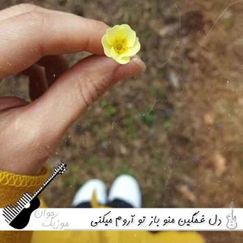 دانلود آهنگ دل غمگین منو باز تو آروم میکنی ریمیکس اینستا هایده ویناک