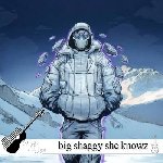 دانلود آهنگ big shaggy she knowz what she wantz (REMIX) ریمیکس اینستا