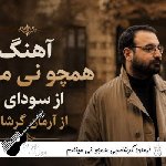 آهنگ همچو نی مینالم از سودای دل  آرمان گرشاسبی ریمیکس اینستا