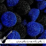 دانلود آهنگ بشکن بشکنه جون بابا بشکن با صدای زن آریانا هوش مصنوعی دانلود آهنگ بشکن بشکنه جون بابا بشکن با صدای زن آریانا هوش مصنوعی