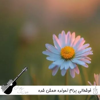 دانلود آهنگ خوشحالی برام نمونده همش شده تلخی ریمیکس اینستا دانلود آهنگ خوشحالی برام نمونده همش شده تلخی ریمیکس اینستا