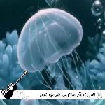 دانلود آهنگ گفتی تا آخر میام چی شد یهو ترمز زدی ریمیکس اینستا