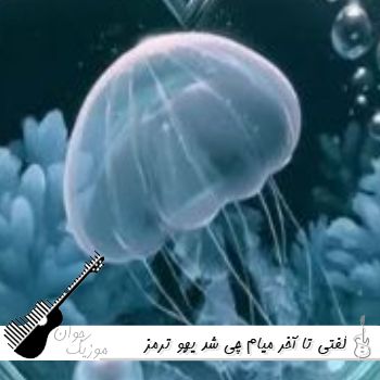 دانلود آهنگ گفتی تا آخر میام چی شد یهو ترمز زدی ریمیکس اینستا دانلود آهنگ گفتی تا آخر میام چی شد یهو ترمز زدی ریمیکس اینستا