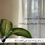 آهنگ با تو دنیا ته نداره تویی خانومم بازم برات میخونم {ریمیکس اینستا} آهنگ با تو دنیا ته نداره تویی خانومم بازم برات میخونم {ریمیکس اینستا}