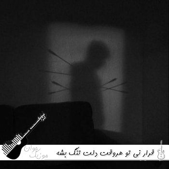 دانلود آهنگ قرار نی تو هروقت دلت تنگ بشه تکس بدی محمد امیری {ریمیکس}