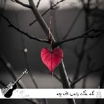 دانلود آهنگ مگه سنگه دلت اخه بچه با صدای زن هوش مصنوعی ریمیکس کامل