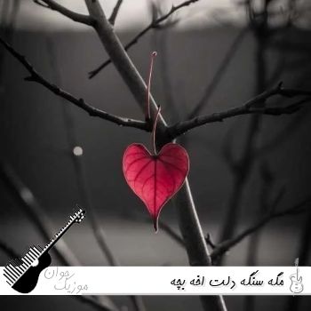 دانلود آهنگ مگه سنگه دلت اخه بچه با صدای زن هوش مصنوعی ریمیکس کامل