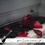 آهنگ گل از مه جدا بو رفت برگ شمع ز دستم رفت با صدای زن هوش مصنوعی افغانی