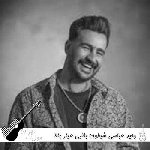 دانلود آهنگ شیطون بلایی عیار بالا طلایی ریمیکس اینستا وحید عباسی