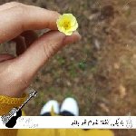 دانلود آهنگ با یکی آشنا شدم قد بلند با صدای زن و مرد ریمیکس اینستا