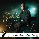 آهنگ تک گل باغ قلبم دور چشات بگردم ریمیکس اینستا مجید بابایی – شکوفه