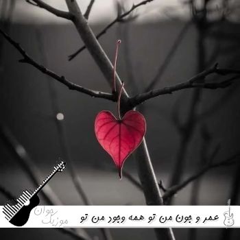 دانلود آهنگ عمر و جون من تو همه وجود من تو هوش مصنوعی با صدای زن دانلود آهنگ عمر و جون من تو همه وجود من تو هوش مصنوعی با صدای زن