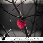 دانلود آهنگ رفتم به پیش زرگر گفتم بساز انگشتر با صدای زن هوش مصنوعی افغانی