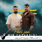 دانلود آهنگ اﺳﻤﺖ ﻃﻠﺎﺋﻪ ﻣﺮوارﻳﺪه ﻧﺎﻣﺖ ﭘﺮی ﺟﺎﻧﻢ امیرحسین شهرآیینی ریمیکس محلی