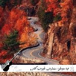 دانلود آهنگ خودت گفتی میمونی آوا هوش مصنوعی با صدای زن
