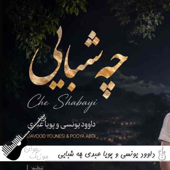 دانلود آهنگ چه شبایی این دلم هواتو کرد داوود یونسی و پویا عبدی ریمیکس