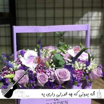 آهنگ اگه بدونی که چه قدرتی داری یه لحظه دست از تلاش برنمیداری با صدای زن ریمیکس آهنگ اگه بدونی که چه قدرتی داری یه لحظه دست از تلاش برنمیداری با صدای زن ریمیکس