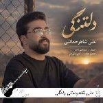 دانلود آهنگ علی شاهرحمانی دلتنگی ریمیکس اصلی