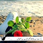 دانلود آهنگ دیر نی واسه کار خوب رو آتیش آب بریز جای چوب تهی {ریمیکس}
