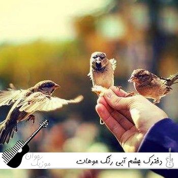 دانلود آهنگ دخترک چشم آبی رنگ موهات شرابی با صدای زن هوش مصنوعی دانلود آهنگ دخترک چشم آبی رنگ موهات شرابی با صدای زن هوش مصنوعی