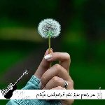 دانلود آهنگ سر راهم سبز نشو فراموشت میکنم با صدای زن و مرد هوش مصنوعی