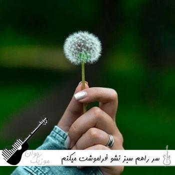 دانلود آهنگ سر راهم سبز نشو فراموشت میکنم با صدای زن و مرد هوش مصنوعی
