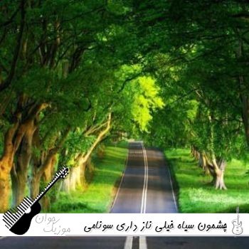 دانلود آهنگ چشمون سیاه خیلی ناز داری سونامی پادکست مازنی 2 ریمیکس دانلود آهنگ چشمون سیاه خیلی ناز داری سونامی پادکست مازنی 2 ریمیکس