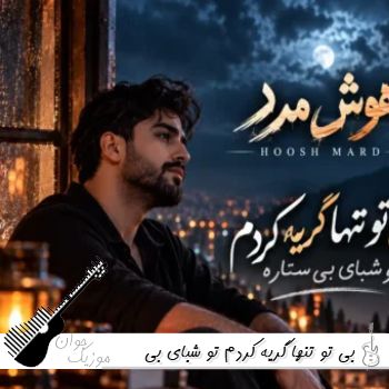 آهنگ  بی تو تنها گریه کردم تو شبای بی ستاره (هوش مصنوعی)